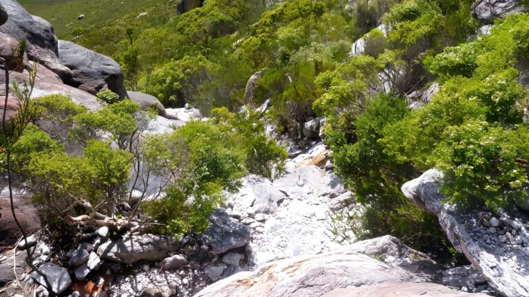 Mount Ragged Trail Walk (3km) Mount ragged trail walk (3km)