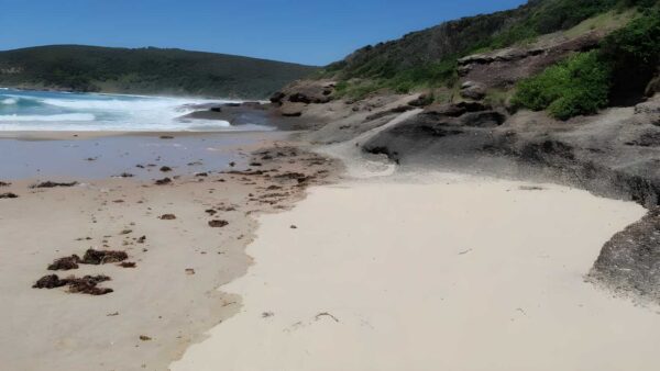 Snapper point beach walk (600m)