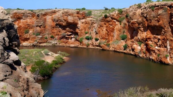 Yardie creek trail walk (2km)