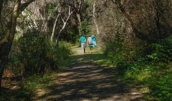 Crowdy gap walking track trail hiking australia 600x352