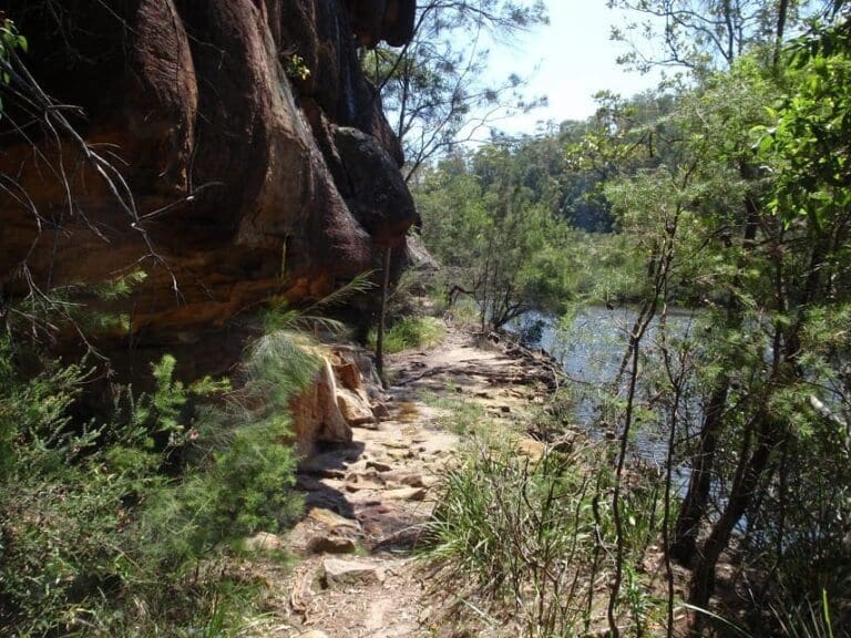 Darri & Warrimoo Tracks to Bobbin Head Hike (9.4km) Darri and warrimoo tracks to bobbin head 768x576