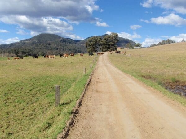 Flat rock to congewai valley east track head 600x450