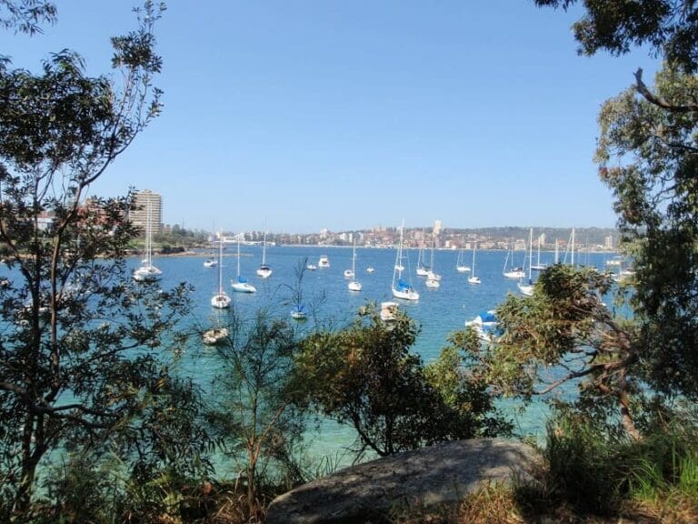 Spit bridge to north harbour reserve 768x576