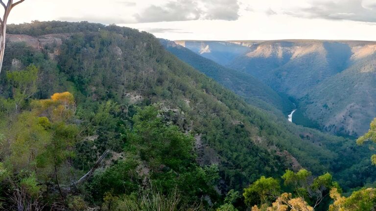 Badgerys spur walking track (3. 5km)