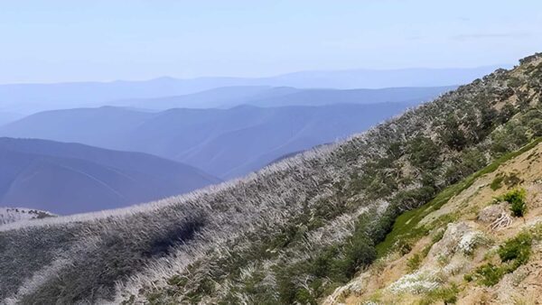 Blowfly spur & the blue rag range hike (46. 5km)