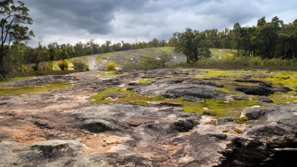 Blue rock trails walk (1. 5km)