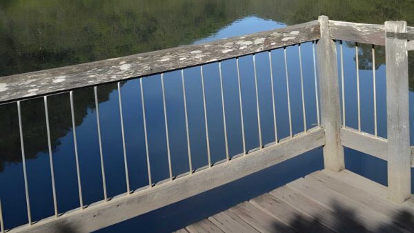 Bobbin Head Boardwalk (600m) Bobbin head boardwalk (600m)