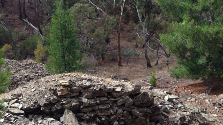 Castlemaine Diggings Hike (14km) Castlemaine diggings hike (14km)