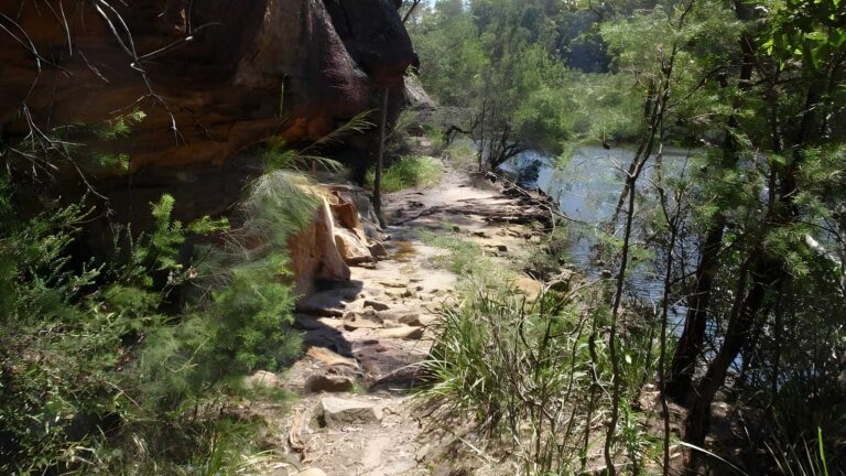 Darri & warrimoo tracks to bobbin head hike (9. 4km)