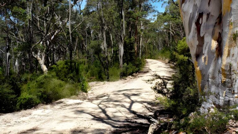 Murphys Trail - Wentworth Falls to Woodford Hike (18km) Murphys trail - wentworth falls to woodford hike (18km)