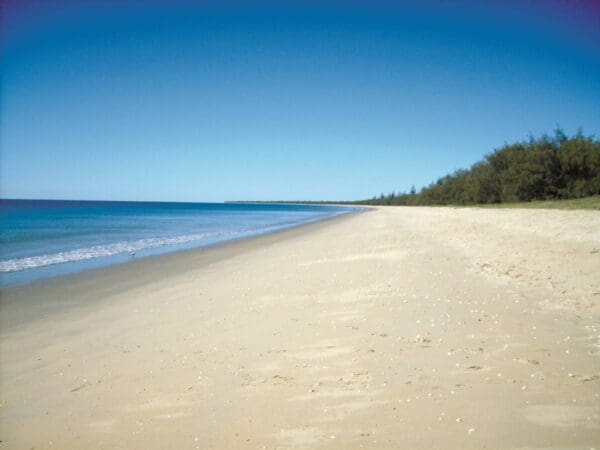 Kingfisher Bay Resort - Lake McKenzie Hike (20km) Coral coast pathways woodgate beach section 600x450