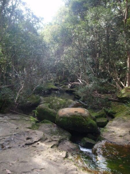 Epping to hornsby station 450x600