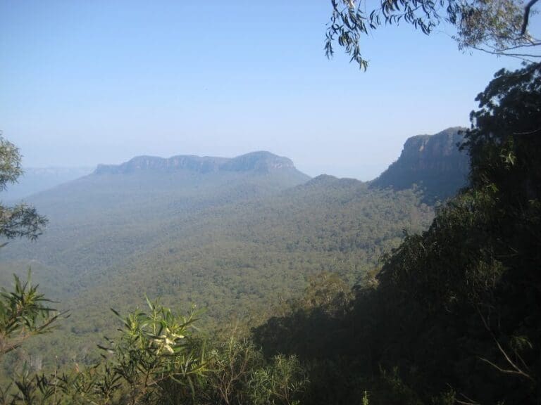 Federal Pass Walking Track (8km) Federal pass walking track 768x576
