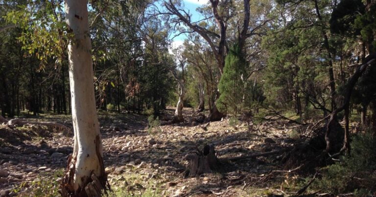 Mambray Creek Walk (3km) Mambray creek walk 768x403