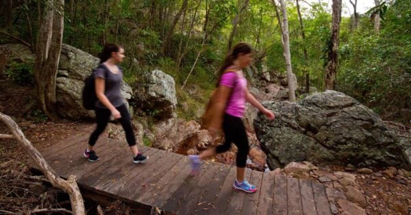 Mount larcom climb 600x315
