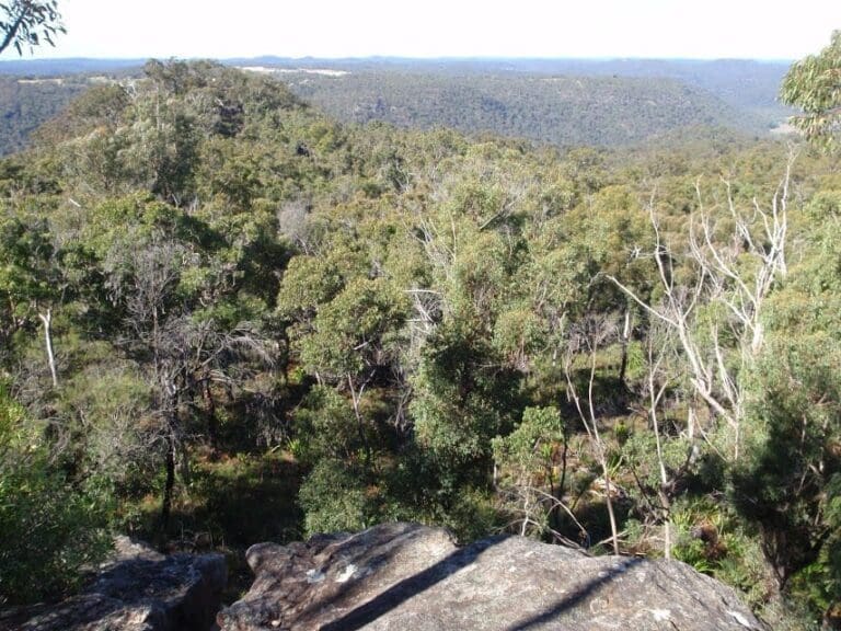 Mt olive 768x576
