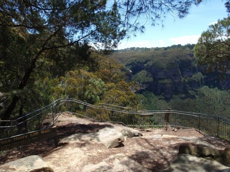 Silver Mist Park to Honeymoon Lookout Walk (600m) Silver mist park to honeymoon lookout 768x576
