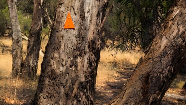 Bilya walk track (7. 2km)