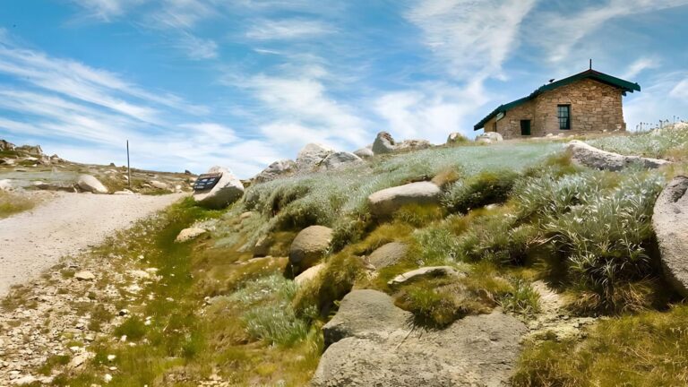 Mount kosciuszko summit walk (18. 6km)