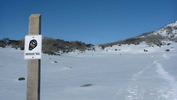 Rock creek snowshoe trail walk (3km)