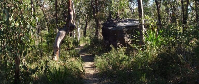 Ironbark Road to Glenworth Valley Hike (10.1km) Ironbark rd to glenworth valley 768x325