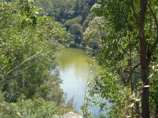 Warrimoo track to bobbin head 600x450