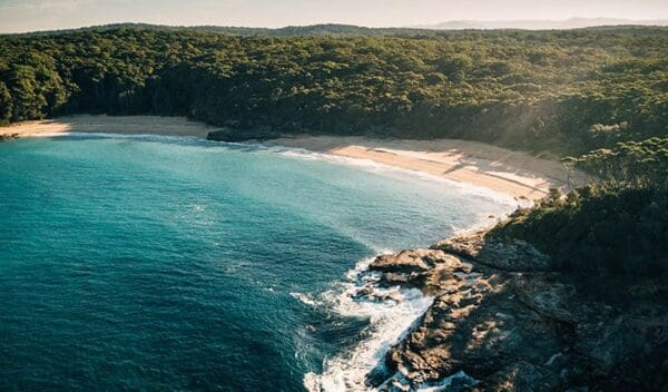 Depot Beach Rainforest Walk (700m) Wasp head walk trail hiking australia 600x352