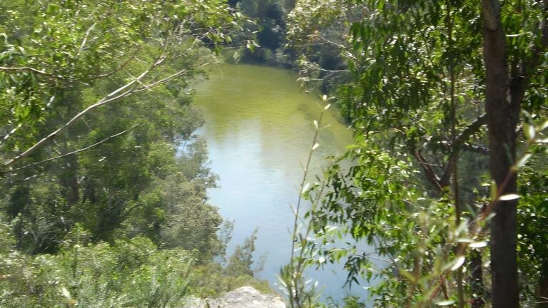 Warrimoo track to bobbin head hike (6. 2km)