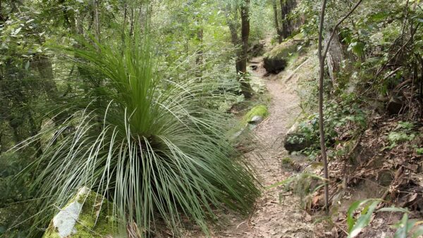 11km Walking Track (11km) 11km walking track (11km)