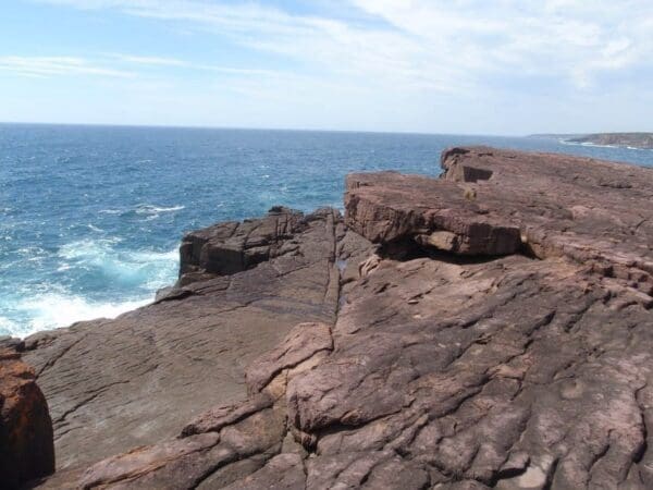 Hikes in New South Wales Bittangabee bay picnic area to black cliffs 600x450