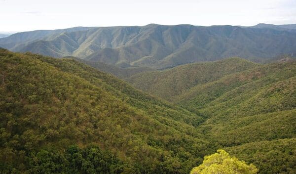 Scutts Hut & Kurrawonga Falls Walk (20km) Budds mare to riverside walking track trail hiking australia 600x352