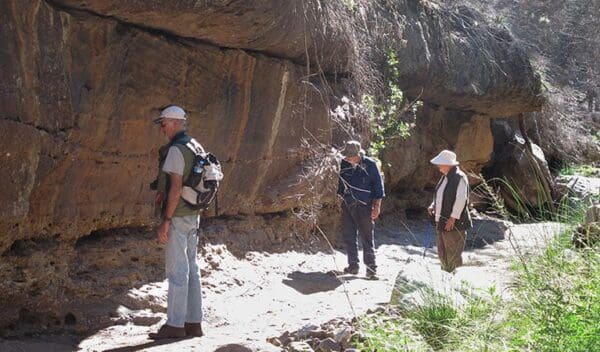 Wambelong Nature Walking Track (1km) Burbie canyon walking track trail hiking australia 600x352