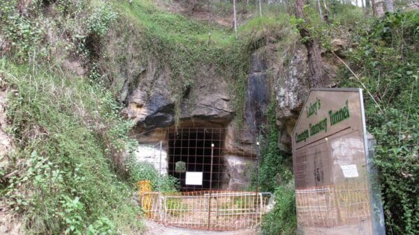 Hikes Canungra tramway tunnel 600x337