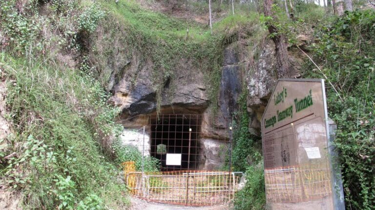 Canungra Tramway Tunnel Walk (1km) Canungra tramway tunnel 768x431