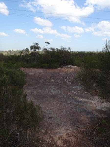 Engravings track 450x600