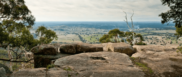 Castlemaine Gold Hike (17.5km) Great dividing trail leanganook track 600x254