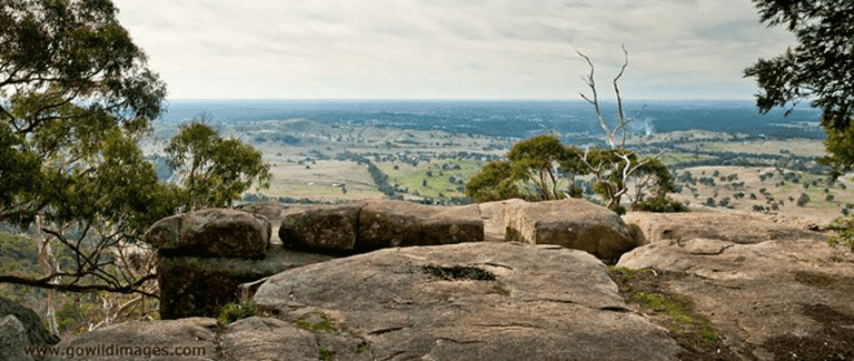 Great dividing trail leanganook track 768x325