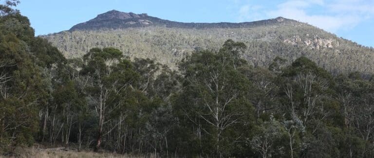 Gudgenby bush 768x325