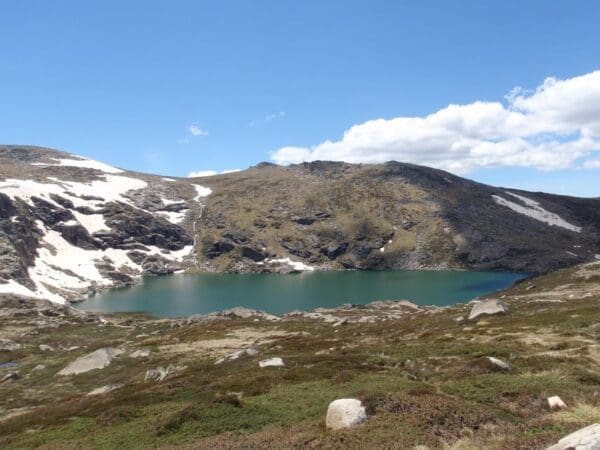 Main range track charlotte pass to blue lake 600x450