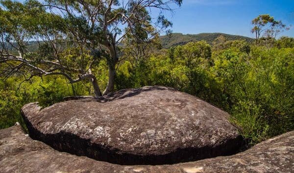 Marramarra ridge to smugglers ridge walking track trail hiking australia 600x352