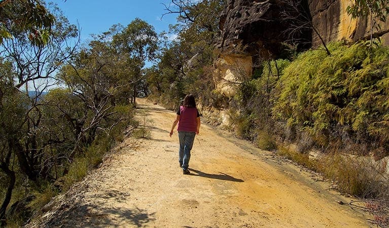 Womerah Range trail Trail Hiking Australia