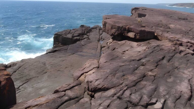 Bittangabee Bay: Picnic Area to Black Cliffs Walk (5.2km) Bittangabee bay: picnic area to black cliffs walk (5. 2km)