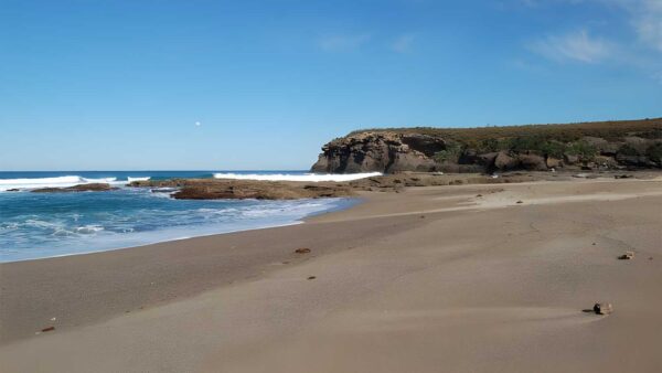 Coastal Walking Track (5km) Coastal walking track (5km)
