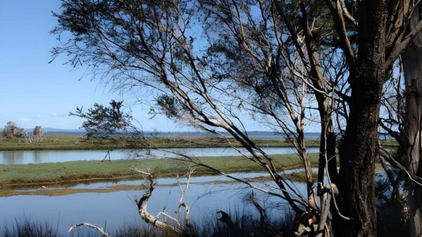 Erskine nature trail walk (6km)