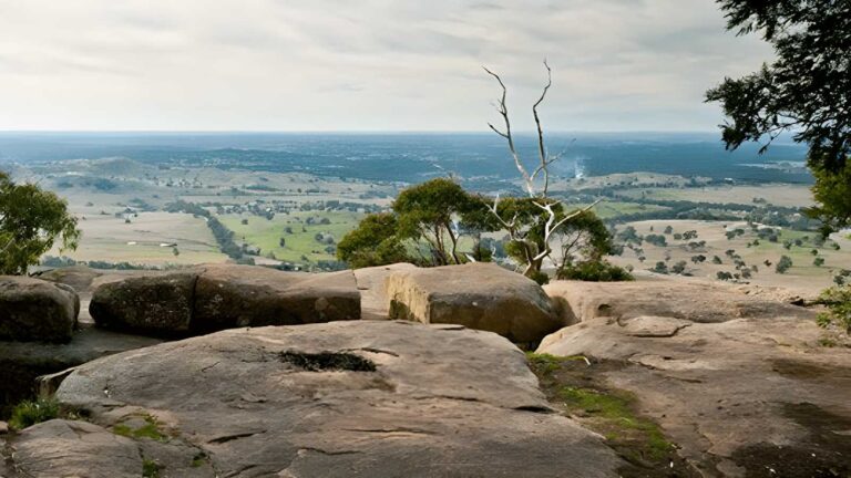 Great Dividing Trail: Leanganook Track (61km) Great dividing trail: leanganook track (61km)