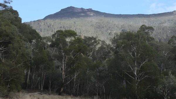 Gudgenby Bush Walk (5km) Gudgenby bush walk (5km)