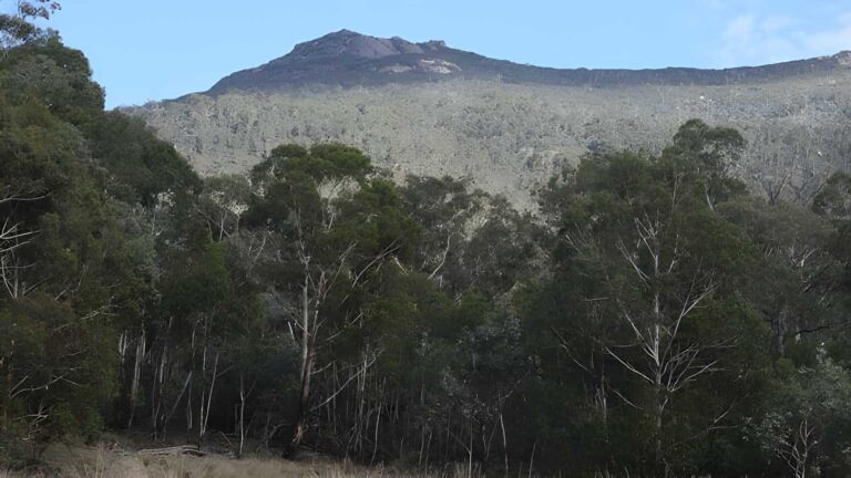 Gudgenby Bush Walk (5km) Gudgenby bush walk (5km)