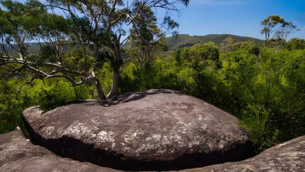Marramarra Ridge to Smugglers Ridge Walking Track (13km) Marramarra ridge to smugglers ridge walking track (13km)