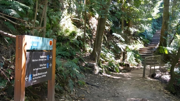 Round Walking Track (1.2km) Round walking track (1. 2km)