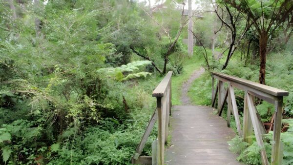 Sheldon forest walk (1. 8km)